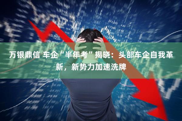 万银鼎信 车企“半年考”揭晓：头部车企自我革新，新势力加速洗牌