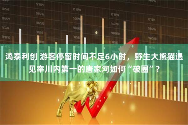 鸿泰利创 游客停留时间不足6小时，野生大熊猫遇见率川内第一的唐家河如何“破圈”？