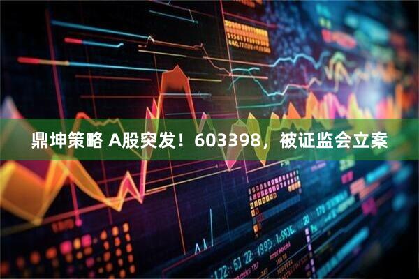 鼎坤策略 A股突发！603398，被证监会立案