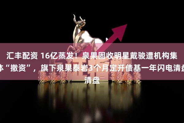 汇丰配资 16亿蒸发！泉果固收明星戴骏遭机构集体“撤资”，旗下泉果泰岩3个月定开债基一年闪电清盘