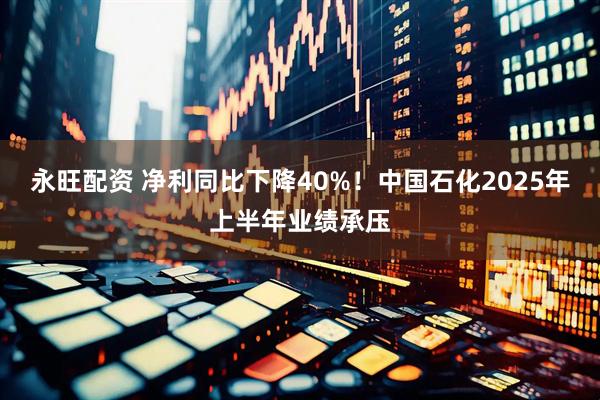 永旺配资 净利同比下降40%！中国石化2025年上半年业绩承压