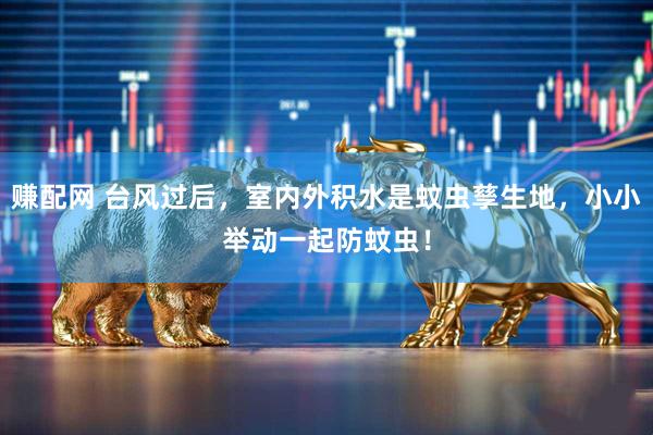 赚配网 台风过后，室内外积水是蚊虫孳生地，小小举动一起防蚊虫！