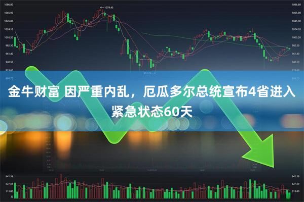 金牛财富 因严重内乱，厄瓜多尔总统宣布4省进入紧急状态60天