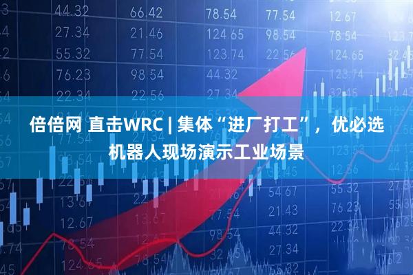 倍倍网 直击WRC | 集体“进厂打工”，优必选机器人现场演示工业场景