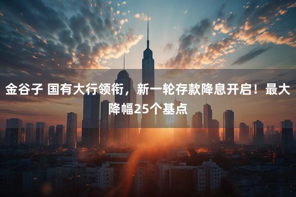 金谷子 国有大行领衔，新一轮存款降息开启！最大降幅25个基点