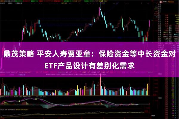 鼎茂策略 平安人寿贾亚童：保险资金等中长资金对ETF产品设计有差别化需求