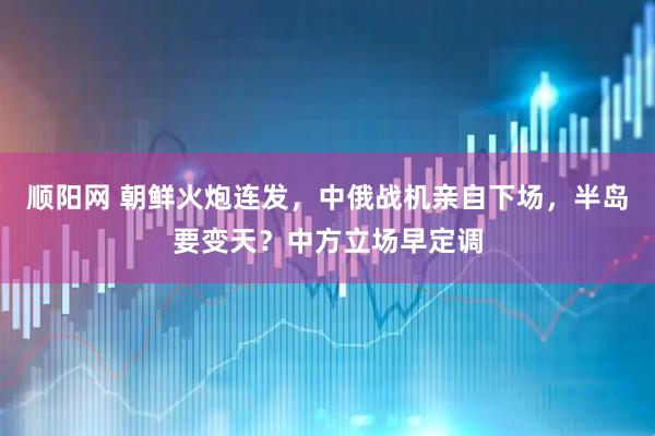 顺阳网 朝鲜火炮连发，中俄战机亲自下场，半岛要变天？中方立场早定调